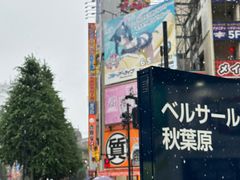 -秋叶原电器街