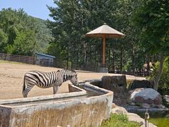 -大连森林动物园