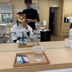 -THE LOG SALON 记录