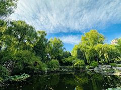 -三忘湖 SWANSEEN(柳荫公园店)