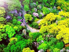 -梧桐山风景名胜区