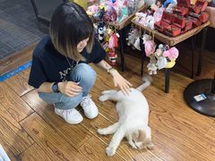 -志龙皇冠吃货椰子铺