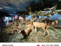 -国家自然博物馆