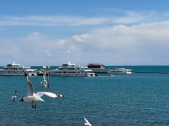 -青海湖国家重点风景名胜区