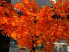 -老湘亲·品鉴湘菜(蔡塘爱琴海店)