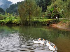 -美兰湖景区
