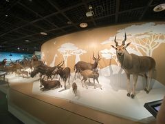 -陕西自然博物馆