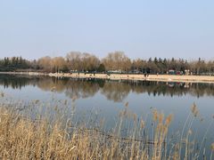 -大兴滨河森林公园