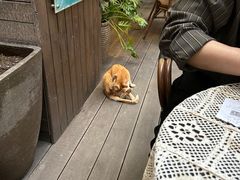 -默迹咖啡馆