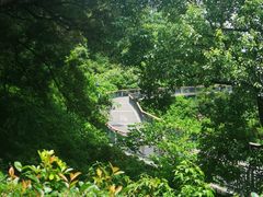 -金鸡山公园