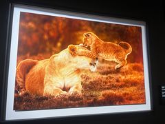 -罗红摄影艺术馆