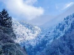 -叠溪松坪沟景区