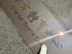 -东方体育中心(地铁站)