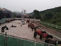 -鼎盛王朝康熙大典实景演出