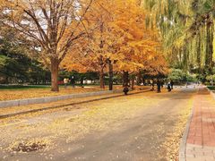 -中央民族大学