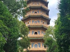 -灵谷景区