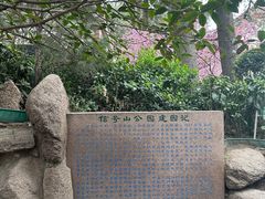 -信号山公园