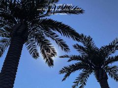 -湖州太湖旅游度假区-月亮广场