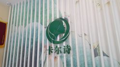 -卡尔诗·科技美肤连锁