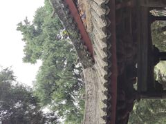 -七曲山风景区