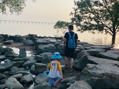 -宝安西湾红树林湿地公园