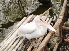 -济南野生动物世界