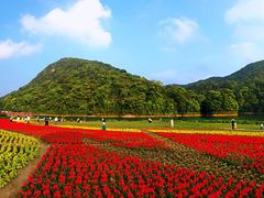 -广州市石门国家森林公园