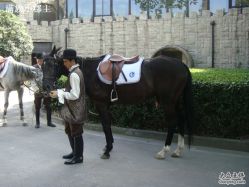 DSC00627-金庭庄园酒店彩虹厅