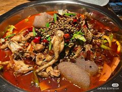 -宽口美蛙鱼头(大唐西市店)