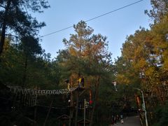 -梦幻奥陶纪景区