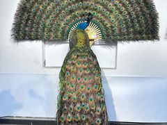 -朱仙镇启封故园景区