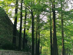 -阳台山自然风景区