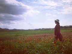 -光明小镇欢乐田园