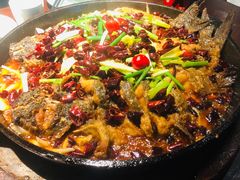 老板恋上鱼-老板恋上鱼(高新万达店)