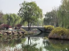 -河北省园博园
