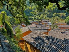 -杨家堂村