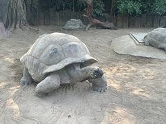 -广州长隆飞鸟乐园