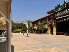 -南宫五洲植物乐园