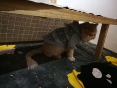 -小时光咖啡馆(开森度假森林店)