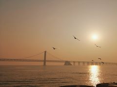 -星海广场