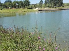 -淇河国家湿地公园