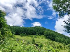 -九寨沟爱情海景区