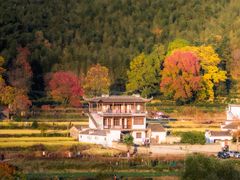 -塔川景区