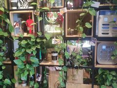 -ZING COFFEE 镜咖啡