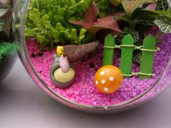 -三圣花乡旅游区