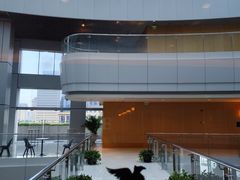 -上海明天广场JW万豪酒店