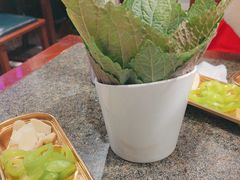 -佟爷·老北京炙子烤肉(动物园店)