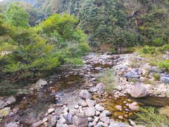 -石台牯牛降景区