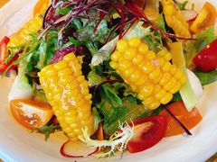 -Hatsune隐泉日式料理(三里屯太古里店)