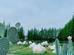 -前小桔亲子创意农场·草莓采摘·露营烧烤